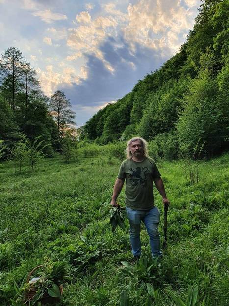 ‘How I got here’ – Łukasz Łuczaj – | Ayahuasca News | Scoop.it