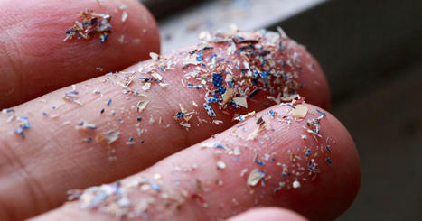 Microplastics Found in Human Blood, Proving How Far Plastic Pollution Goes - GreenMatters.com | Operation Deimos | Scoop.it