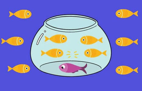 Comment utiliser le Fishbowl, ou bocal à poisson, pour vos animations de groupe ? | Devops for Growth | Scoop.it