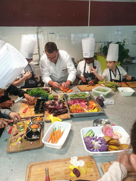 Panorama de l’éducation culinaire dans le monde | Les nouvelles cultures de l'alimentaire | Scoop.it