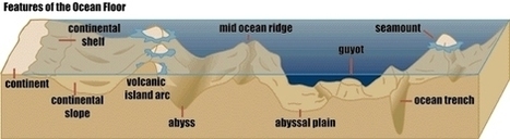 A quiz on the geography of the ocean (i.e., oceanography) | Coastal Restoration | Scoop.it