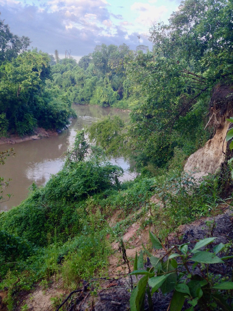 Save Buffalo Bayou | A Ribbon of Life Through the Concrete of Houston | Coastal Restoration | Scoop.it