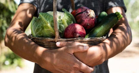 Collectivit&eacute;s et acteurs locaux de l&rsquo;alimentation r&eacute;clament les moyens &laquo; d&rsquo;agir dans la dur&eacute;e &raquo; | veille th&eacute;matique | Scoop.it