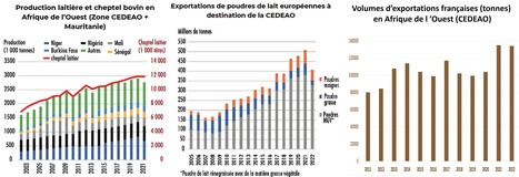 Afdi : Interdépendance des filières laitières ouest-africaine et française | Lait de Normandie... et d'ailleurs | Scoop.it