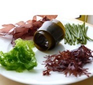 Synthèse règlementaire - algues alimentaires | HALIEUTIQUE MER ET LITTORAL | Scoop.it