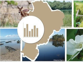 Agence Régionale de la Biodiversité Nouvelle-Aquitaine - Lettre d'info Avril 2023 N°50 | Biodiversité | Scoop.it