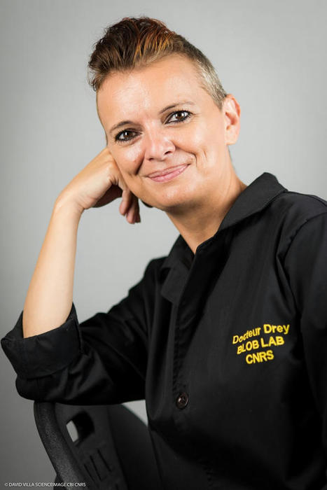 Audrey Dussutour, &eacute;thologiste et dompteuse de blob, laur&eacute;ate de la m&eacute;daille CNRS de la m&eacute;diation scientifique | EntomoScience | Scoop.it