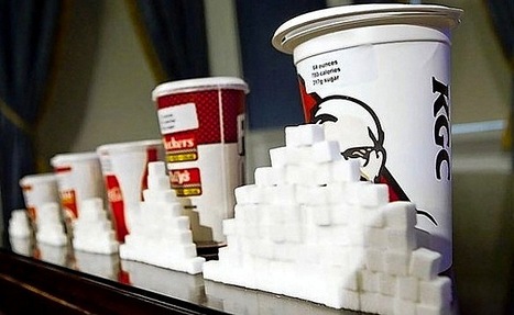 La guerre contre les sodas extra-larges et la culture am&eacute;ricaine | Gestion des Risques Interculturels | Chronique des Droits de l'Homme | Scoop.it
