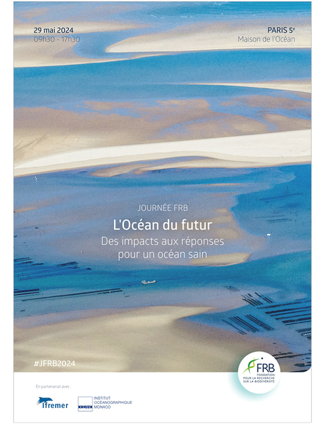 [Journ&eacute;e FRB 2024] L&rsquo;oc&eacute;an du futur : Des impacts aux r&eacute;ponses pour un oc&eacute;an sain  | Biodiversit&eacute; | Scoop.it