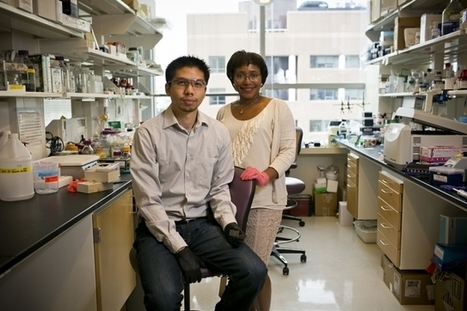 Advanced thin-film technique could deliver long-lasting medication | #MIT #Research #Medicine #Nano | 21st Century Innovative Technologies and Developments as also discoveries, curiosity ( insolite)... | Scoop.it