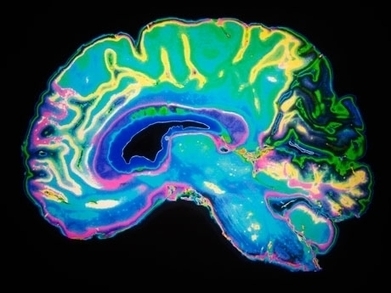 The Neuroscience Behind Stress and Learning // Edutopia | Social & Emotional Learning and Critical Perspectives on SEL Related Initiatives | Scoop.it