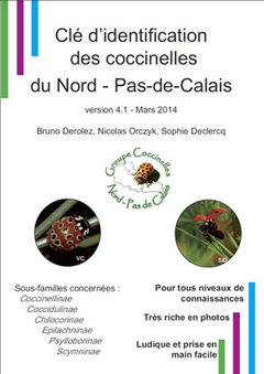 La clé des Coccinelles du Nord - Pas-de-Calais | Insect Archive | Scoop.it