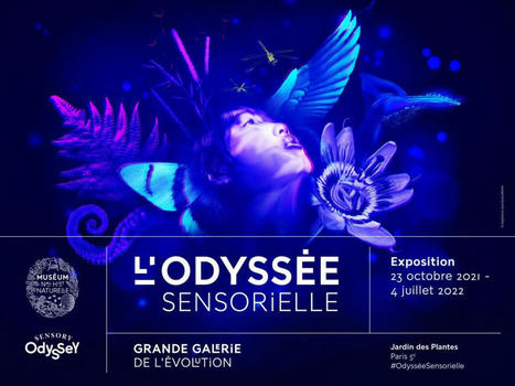 L’Odyssée sensorielle, une exposition multisens au Muséum | Biodiversité | Scoop.it