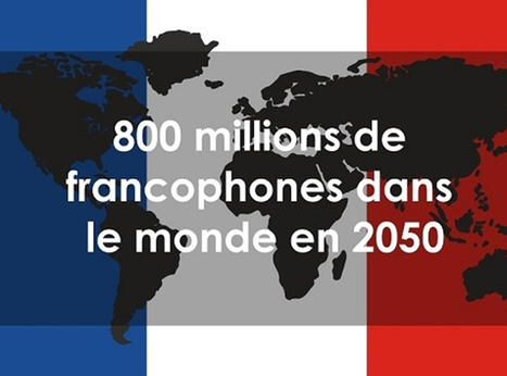 La francophonie : un nouvel eldorado ? | TICE et langues | Scoop.it