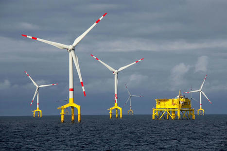 Éolien en mer, quel impact sur la biodiversité ? | Environnement : Politiques Publiques et Stratégie | Scoop.it