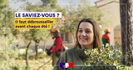 D&eacute;broussailler : comment prot&eacute;ger votre habitation des feux de for&ecirc;t et de v&eacute;g&eacute;tation ? | Veille juridique du CDG13 | Scoop.it