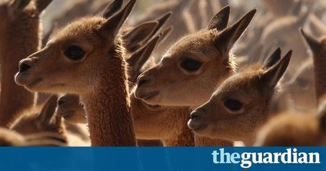 In a world of 7 billion people how can we protect wildlife? | GREENEYES | Scoop.it