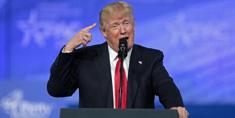 'Madness swirls': Ex-GOP insider says 'Trump’s presidency is already in state of collapse' - Raw Story | Backstabber Watch | Scoop.it