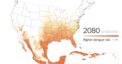 How Dengue, a Deadly Mosquito-Borne Disease, Could Spread in a Warming World - The New York Times | Virus World | Scoop.it