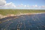 Lancement de l'appel &agrave; projets "SARGASSUM" : "Recherche, d&eacute;veloppement et innovation sur les &eacute;chouages d'algues sargasses" - DEAL Guadeloupe | Biodiversit&eacute; | Scoop.it
