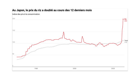 ASIE : Au Japon la crise du riz menace le gouvernement Ishiba | ASIES | Scoop.it