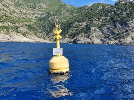 Les aires marines prot&eacute;g&eacute;es luttent contre les effets du CHANGEMENT CLIMATIQUE | CIHEAM Press Review | Scoop.it