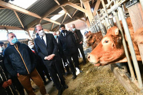 Retour en images sur la visite de Jean Castex et Julien Denormandie en Creuse | Actualité Bétail | Scoop.it