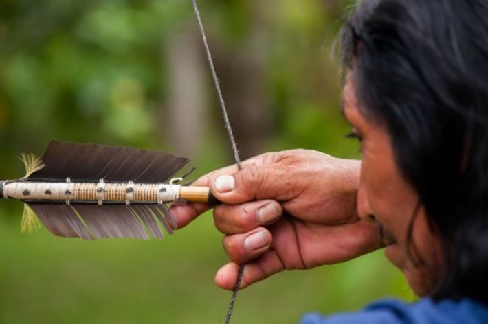 La tradition de l’archerie chez les Wayampi : un artisanat en péril | Découvrir, se former et faire | Scoop.it