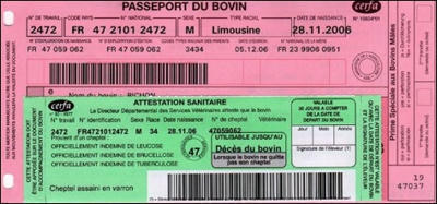 Dématérialisation du passeport bovin | Actualité Bétail | Scoop.it