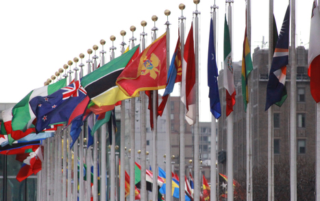 NGO Working Group on UN-NGO Relations | Global Public Goods and Bads, Culture, Social Policy, Population and Migration, NGO's, NonProfit | Scoop.it