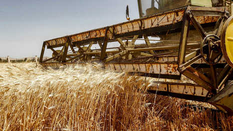 AG-TECH : 3 technologies poised to change food and the planet | INNOVATIONS | Scoop.it
