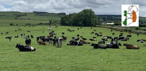 Irlande : Une hausse attendue du prix des intrants de 34,7% pour 2022 | Economie de l'Elevage | Scoop.it