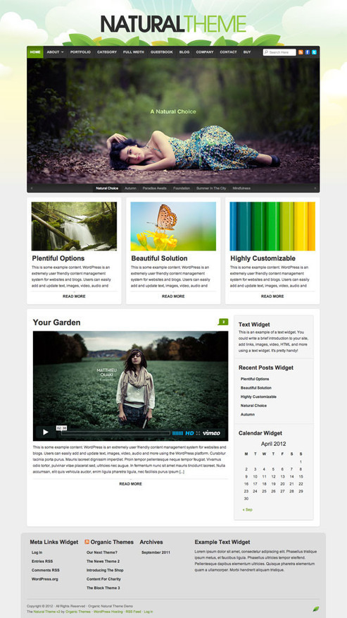 Natural Theme – Best Organic Theme of All Time | The WP Themes