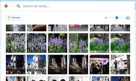 Google Photos kann jetzt auch in Wordpress verwendet werden & bringt starke Suchfunktion mit - GWB | Wordpress-Webdesign | Scoop.it