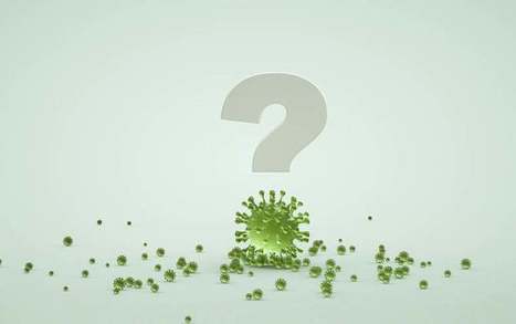 COVID Misinformation Is Killing People | dis.infected | Scoop.it