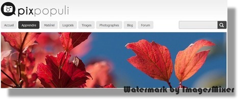 Comment apprendre la photo ? | Retouches et effets photos en ligne | Scoop.it