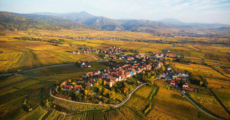 &Eacute;v&eacute;nement. Vignobles en Sc&egrave;ne en Alsace : trois jours d'exp&eacute;riences in&eacute;dites sur la route des Vins d'Alsace | Th&eacute;matique Gastronomie et Oeno | Scoop.it