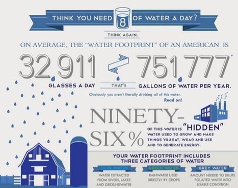 Water Footprint of an American | The Nature Conservancy | Eclectic Technology | Scoop.it