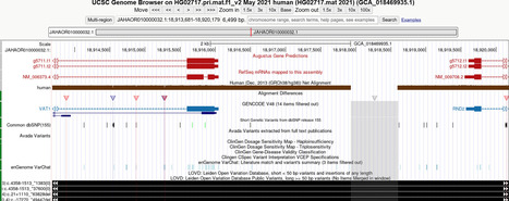 The UCSC Genome Browser database: 2026 update | nar | RMH | Scoop.it