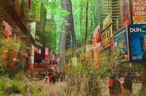 New-York : Une forêt éphémère au coeur de Times-Square ? | Veille territoriale AURH | Scoop.it