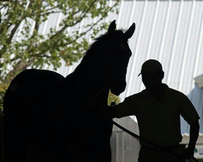 Committee Advances Bill With Horse Slaughter Ban - BloodHorse | Racing Regulatory Issues | Scoop.it