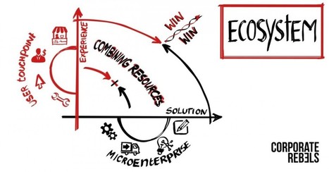 Why Haier Introduced Ecosystems And How They Work | Devops for Growth | Scoop.it