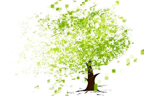« La transition numérique est loin de contribuer à l’avènement d’une société plus écologique » | [Wudo] Corporate Transformation | Scoop.it