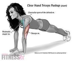 Bodybuilding &  Fitness | Bodybuilding & Fitness | Scoop.it