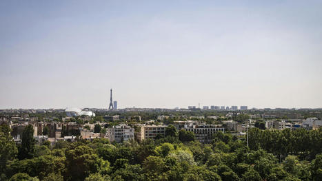 Le billet sciences du week-end. Comment valoriser la nature en ville | Biodiversit&eacute; | Scoop.it