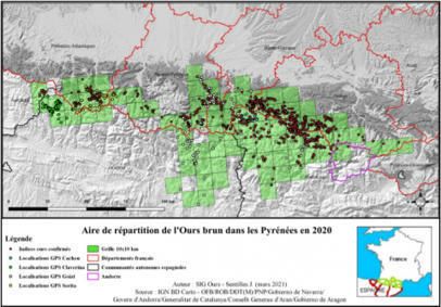 Ours Infos 2020 - Office français de la biodiversité | Biodiversité | Scoop.it