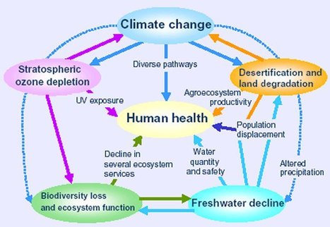WHO | Gender, Climate Change and Health | Chronique des Droits de l'Homme | Scoop.it