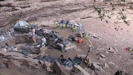 Des matelas anti-insectes &nbsp;&nbsp;&nbsp;&nbsp;&nbsp;&nbsp;&nbsp;&nbsp;&nbsp;&nbsp;&nbsp;&nbsp;&nbsp;&nbsp;&nbsp;&nbsp;&nbsp;&nbsp;&nbsp;&nbsp;il y a 77 000 ans | EntomoNews | Scoop.it