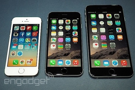 Apple's iPhone Business soars while the iPad languishes | Technology in Business Today | Scoop.it