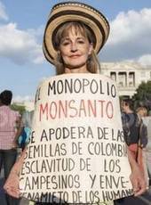Colombian Farmers Defeat Monsanto: Win Back Control of Seeds After Prolonged Strike | Peer2Politics | Scoop.it